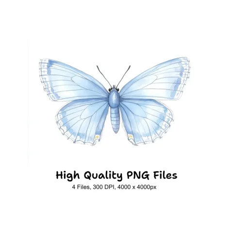 Beautiful Blue Butterfly Clipart Bundle