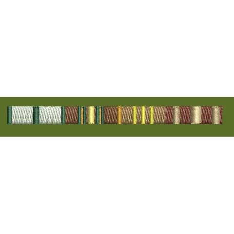 Multicolor Vertical Striped Ribbon Embroidery Design
