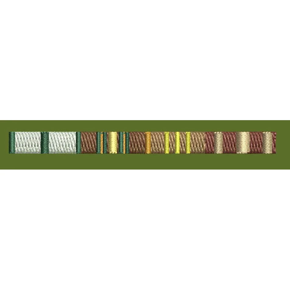 Multicolor Vertical Striped Ribbon Embroidery Design