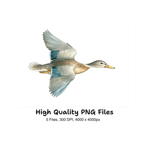 Flying Duck Clipart Bundle