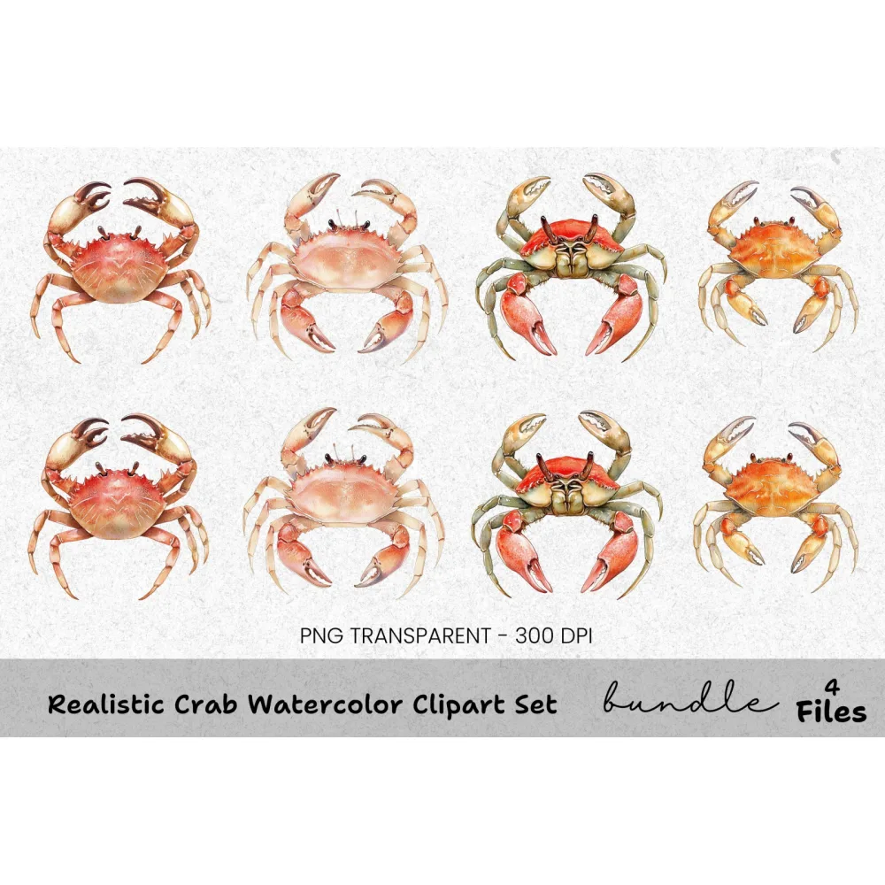 Realistic Crab Clipart Bundle