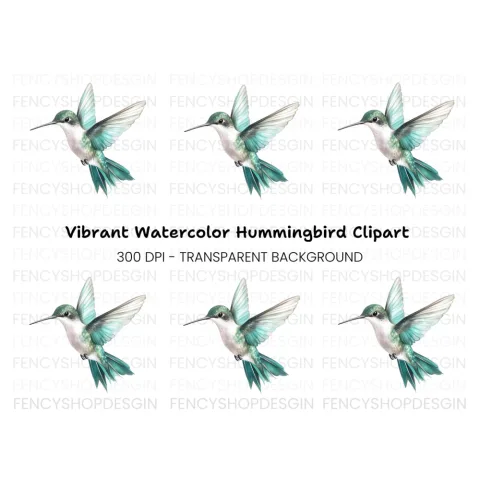 Elegant Flying Hummingbird Clipart Bundle