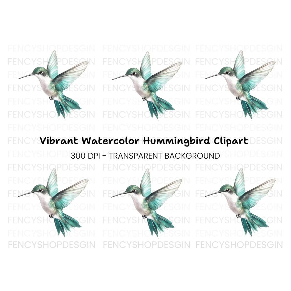 Elegant Flying Hummingbird Clipart Bundle