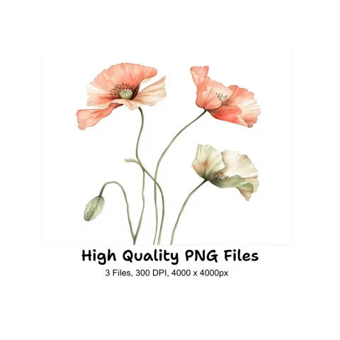Poppy Clipart Bundle