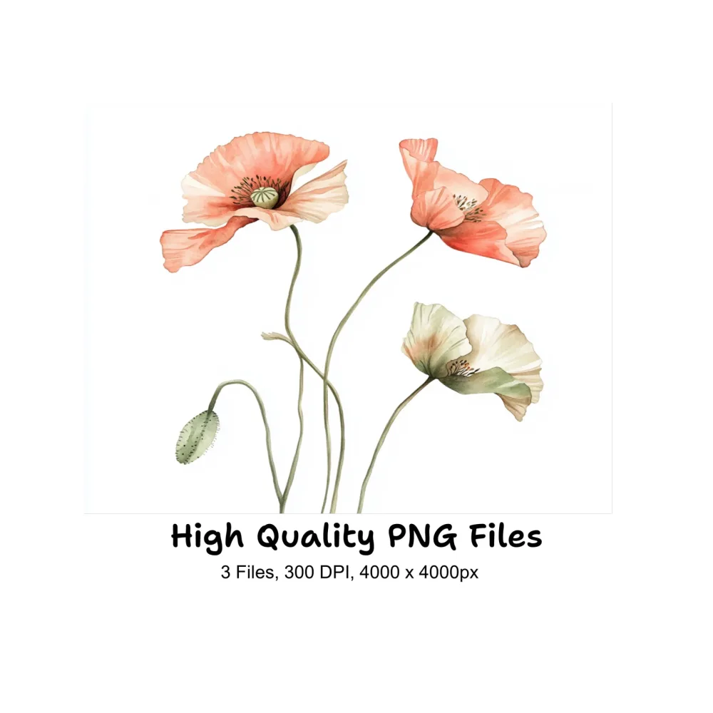 Poppy Clipart Bundle