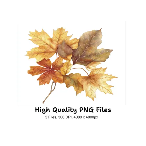 Autumn Leaves Clipart Bundle