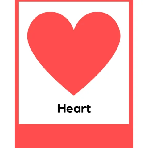 Basic Shape Flashcards