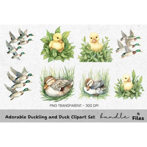Adorable Duckling and Duck Clipart Bundle