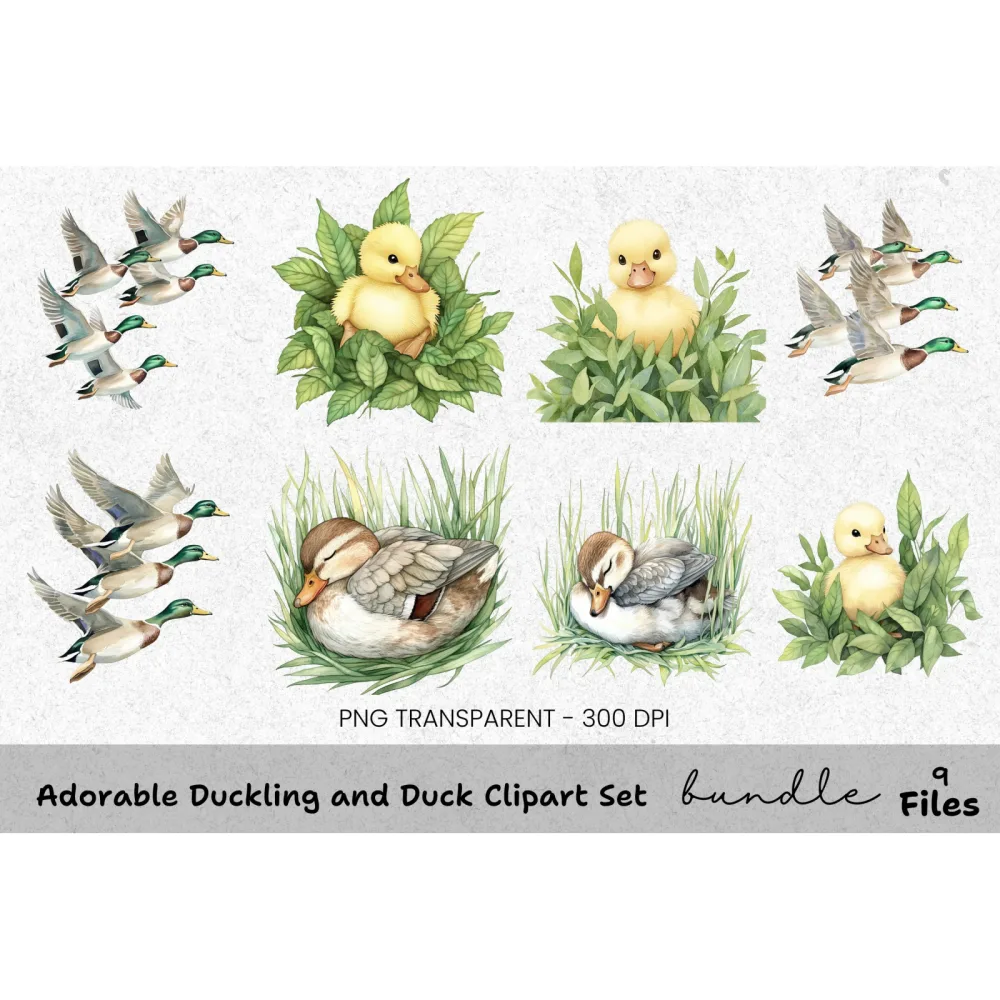 Adorable Duckling and Duck Clipart Bundle