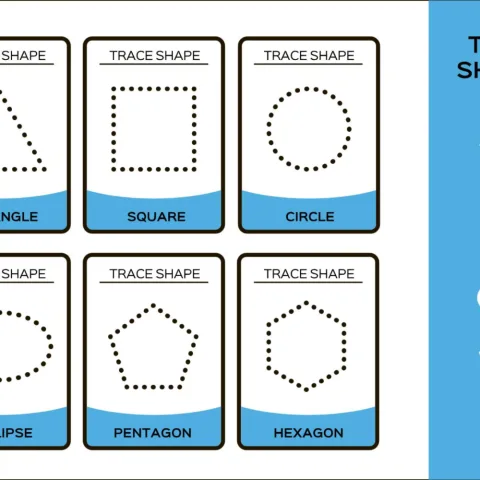 Trace Shapes Flashcards