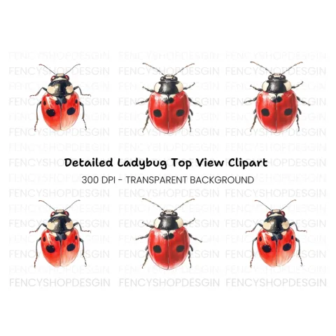 Cute Ladybug Clipart Bundle
