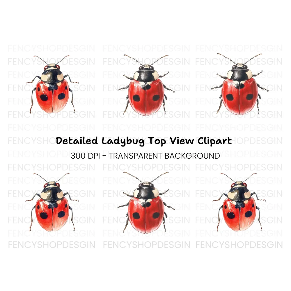 Cute Ladybug Clipart Bundle