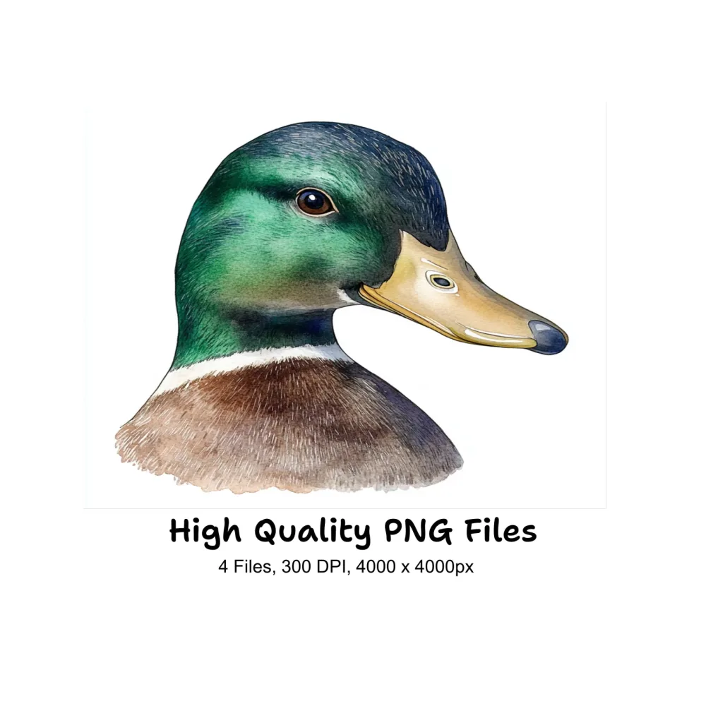 Mallard Duck Head Clipart Bundle