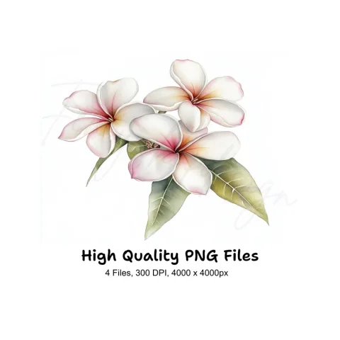 Elegant Plumeria Flower Clipart Bundle