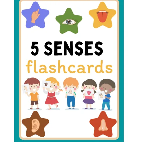 Five Senses Flashcards for Kids