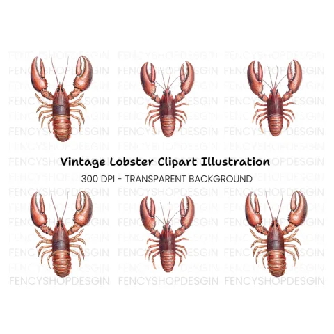 Detailed Brown Lobster Clipart Bundle
