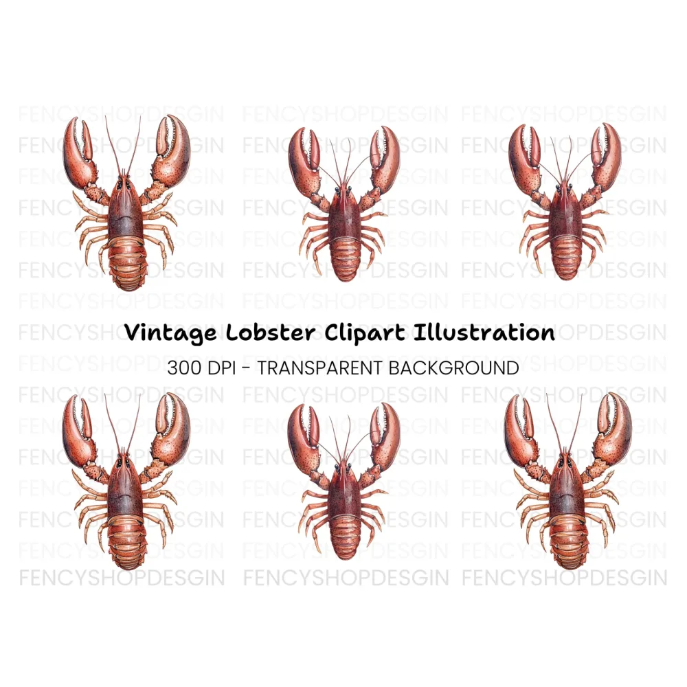 Detailed Brown Lobster Clipart Bundle