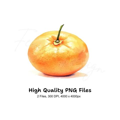 Whole Orange Fruit Clipart Bundle