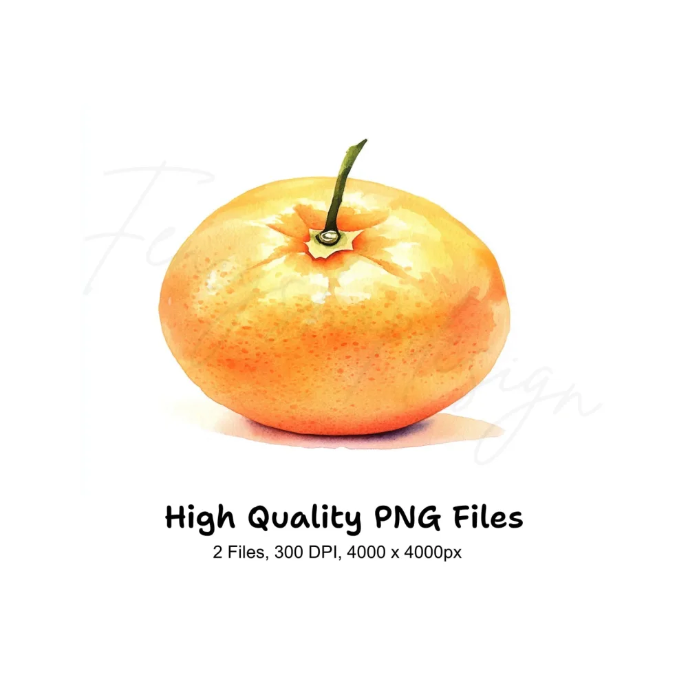 Whole Orange Fruit Clipart Bundle