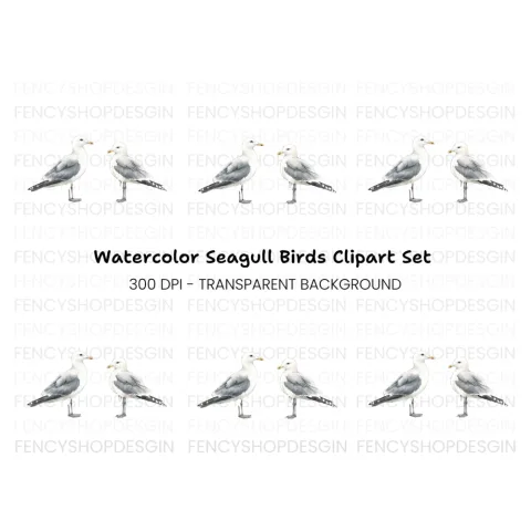 Seagull Clipart Bundle