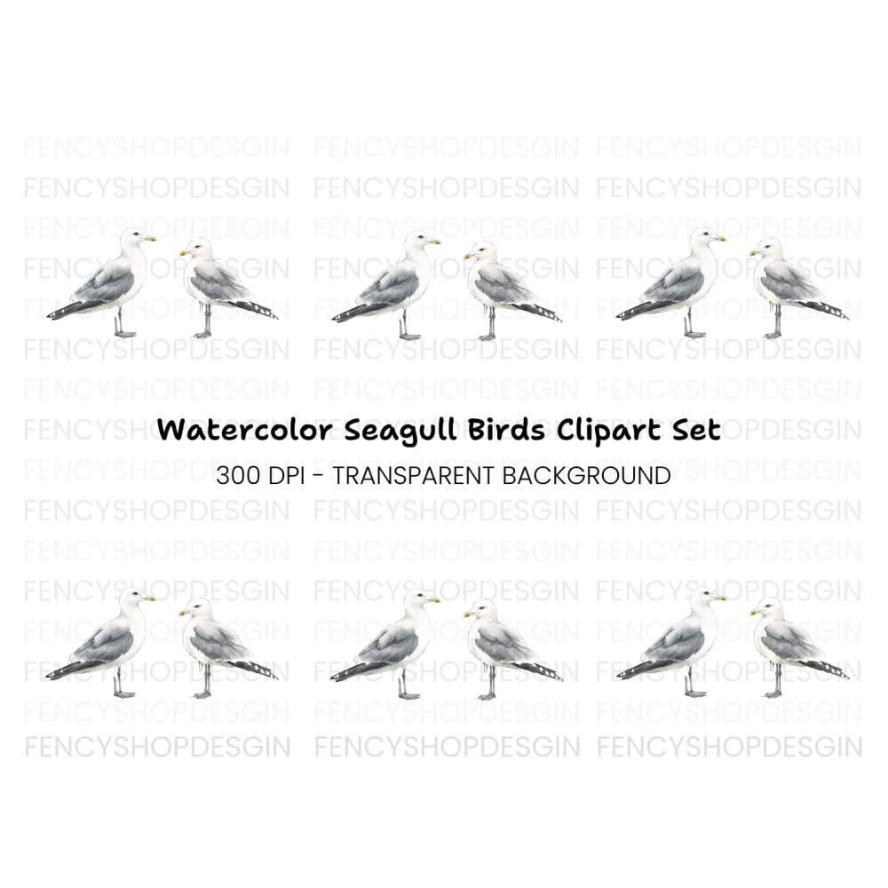 Seagull Clipart Bundle