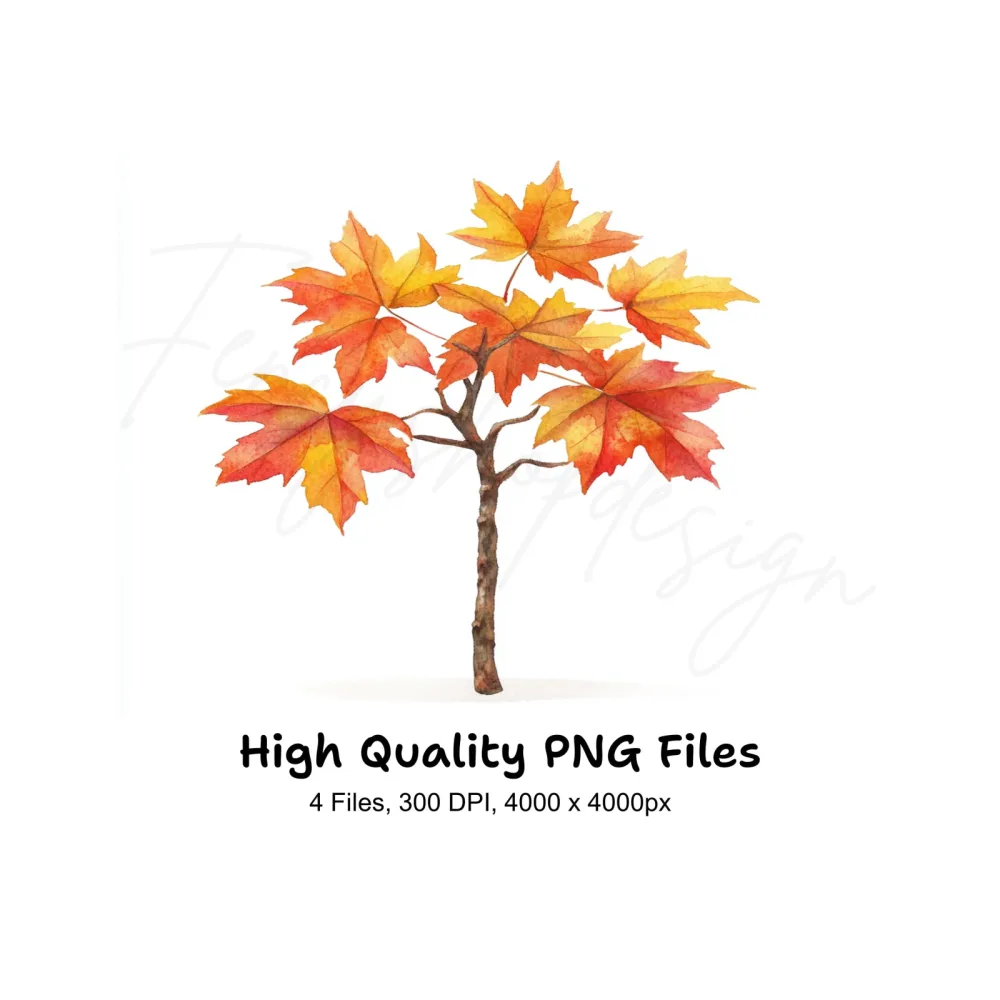 Autumn Maple Tree Clipart Bundle