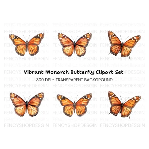 Monarch Butterfly Clipart Bundle