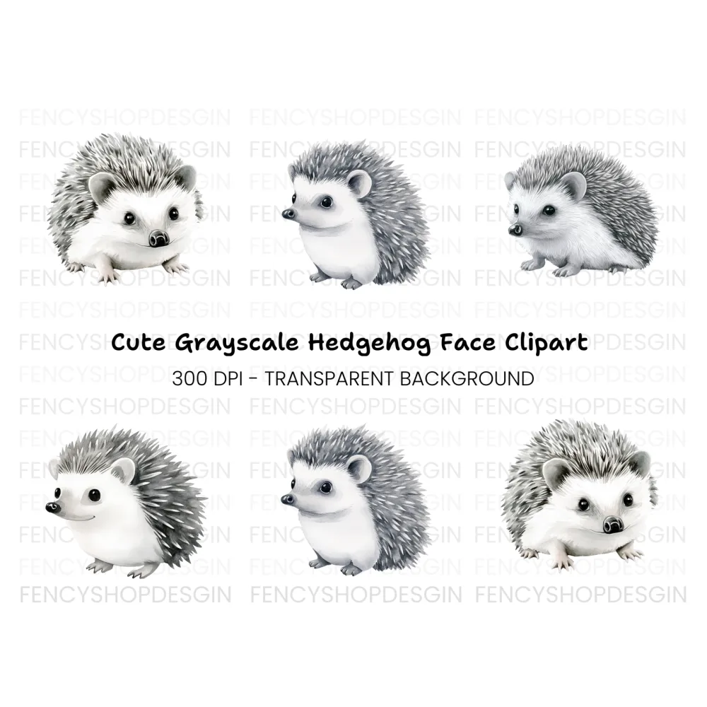 Cute Hedgehog Clipart Bundle