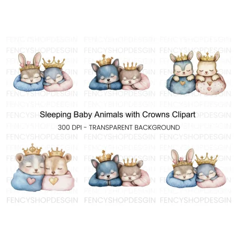 Sleeping Baby Animal Prince Princess Clipart Bundle