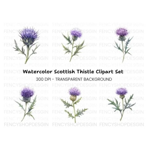 Scottish Thistle Flower Clipart Bundle