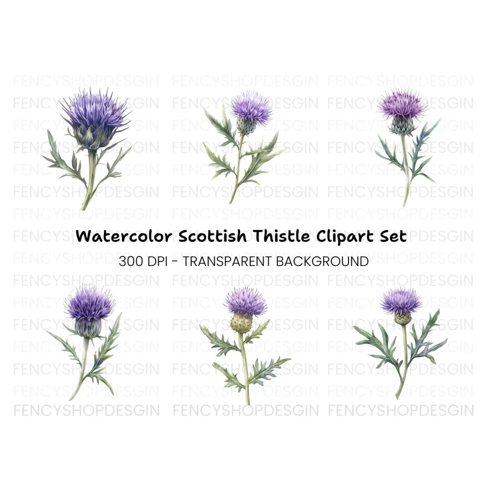 Scottish Thistle Flower Clipart Bundle