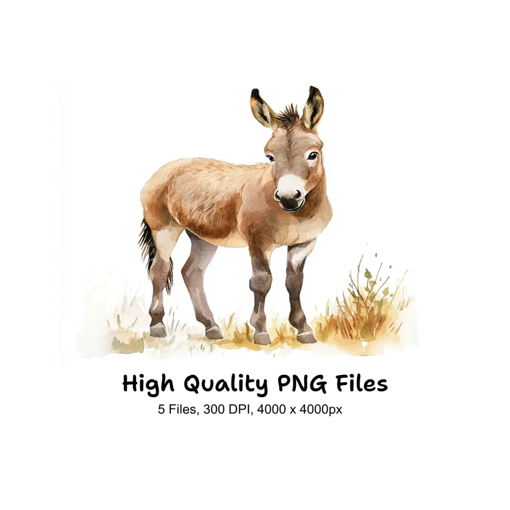 Donkey Clipart Bundle