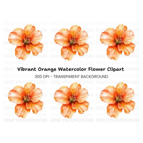 Vibrant Orange Flower Clipart Bundle