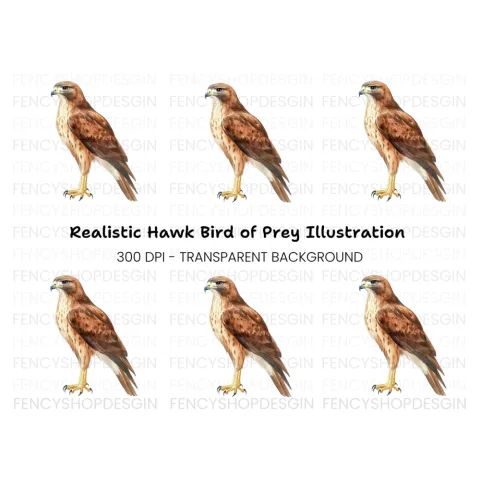 Majestic Brown Hawk Bird Clipart Bundle