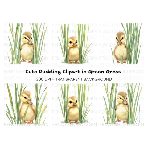 Adorable Ducklings in Green Grass Clipart Bundle