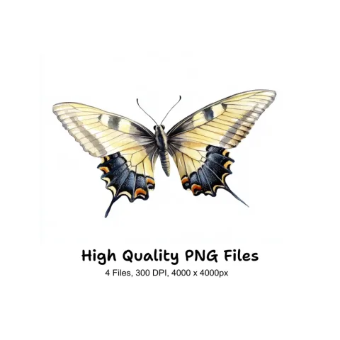 Dynamic Butterfly Clipart Bundle