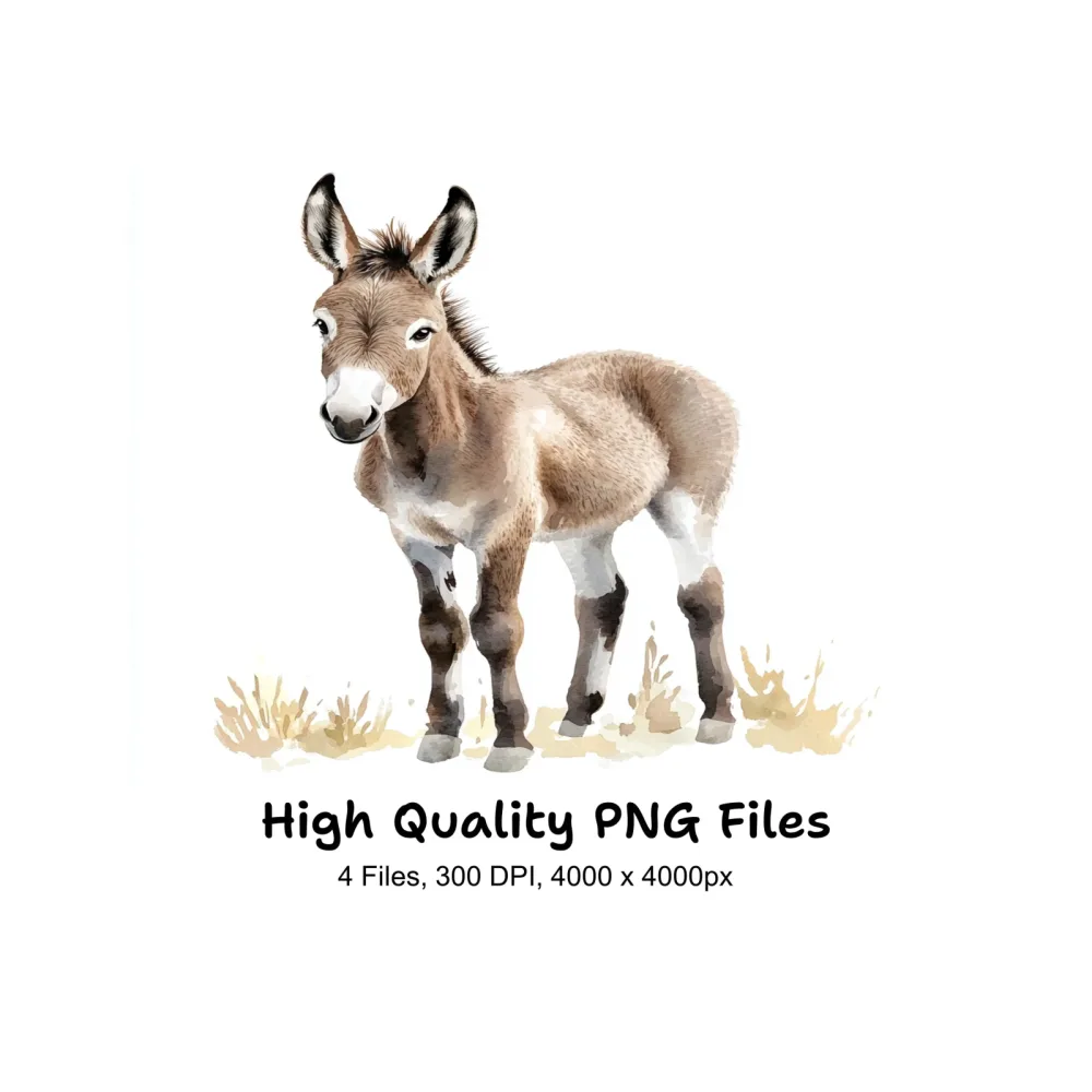 Cute Donkey Clipart Bundle