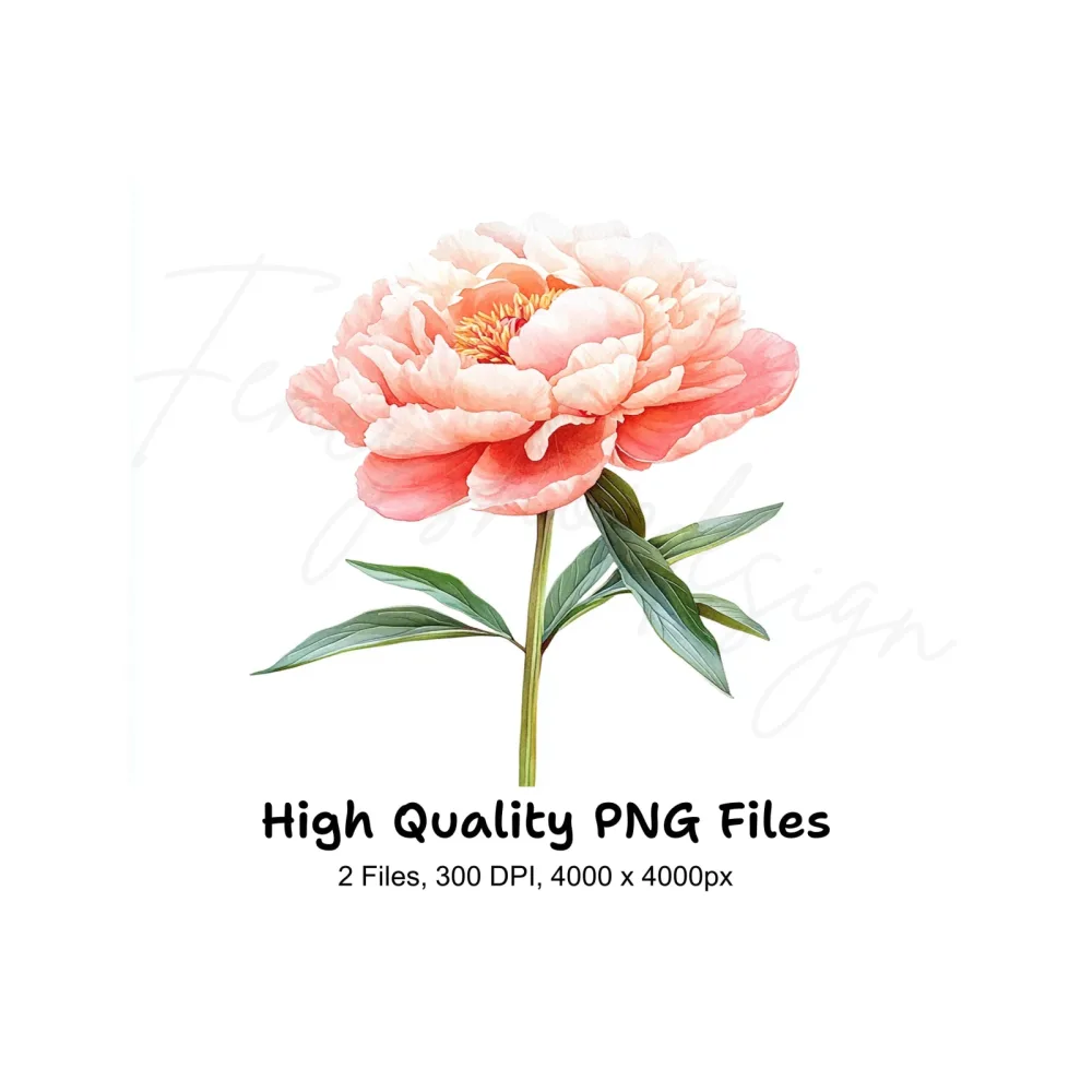 Vibrant Pink Peony Clipart Bundle