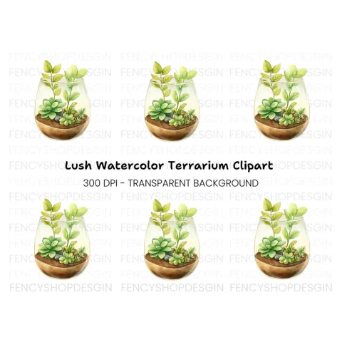 Succulent Terrarium Clipart Bundle