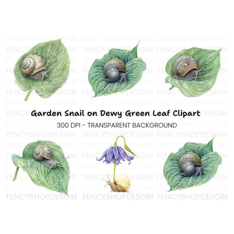 Snails on Wet Leaves Clipart Bundle