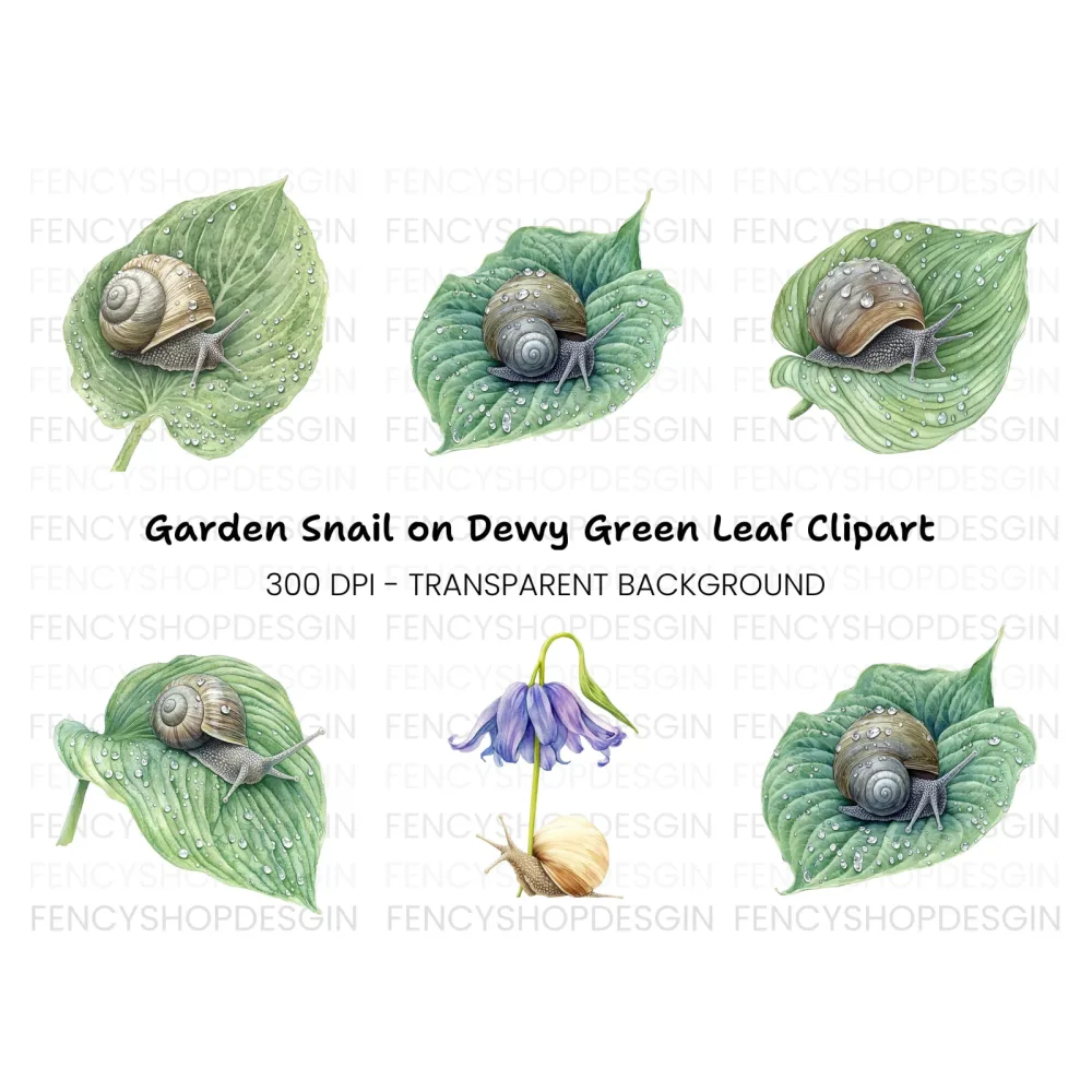 Snails on Wet Leaves Clipart Bundle
