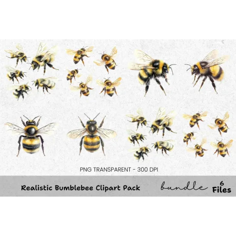 Realistic Bumblebee Clipart Bundle