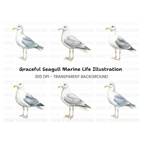 Vibrant Seagull Clipart Bundle