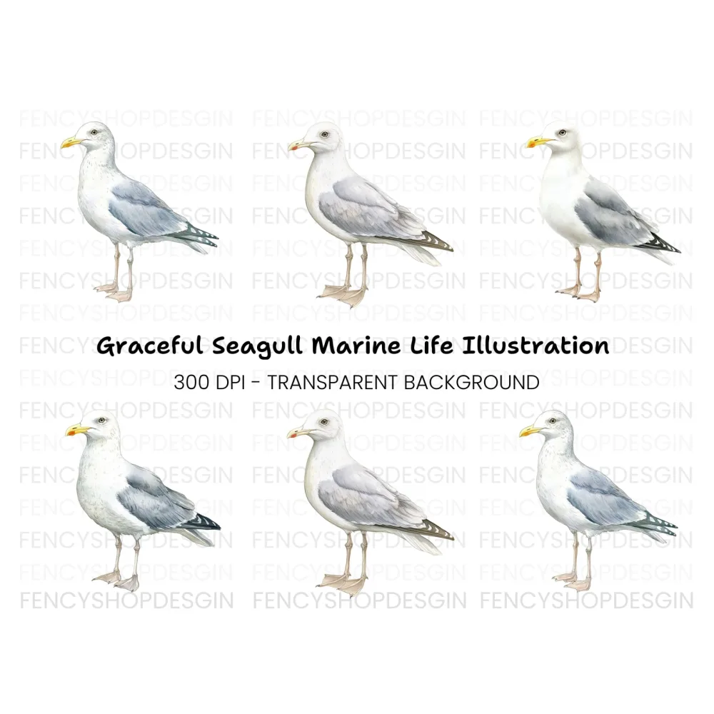 Vibrant Seagull Clipart Bundle