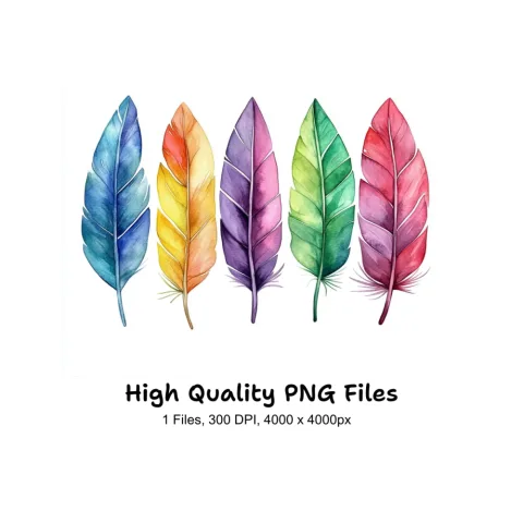 Vibrant Feather Clipart Bundle