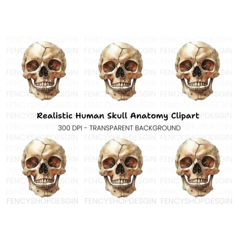 Human Skull Clipart Bundle
