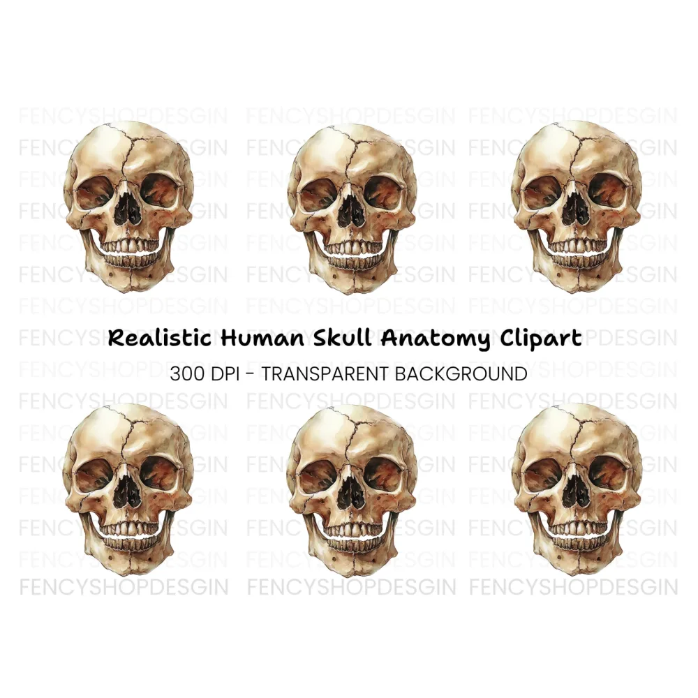 Human Skull Clipart Bundle