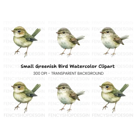 Cute Bird Clipart Bundle