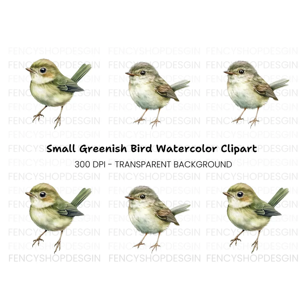 Cute Bird Clipart Bundle