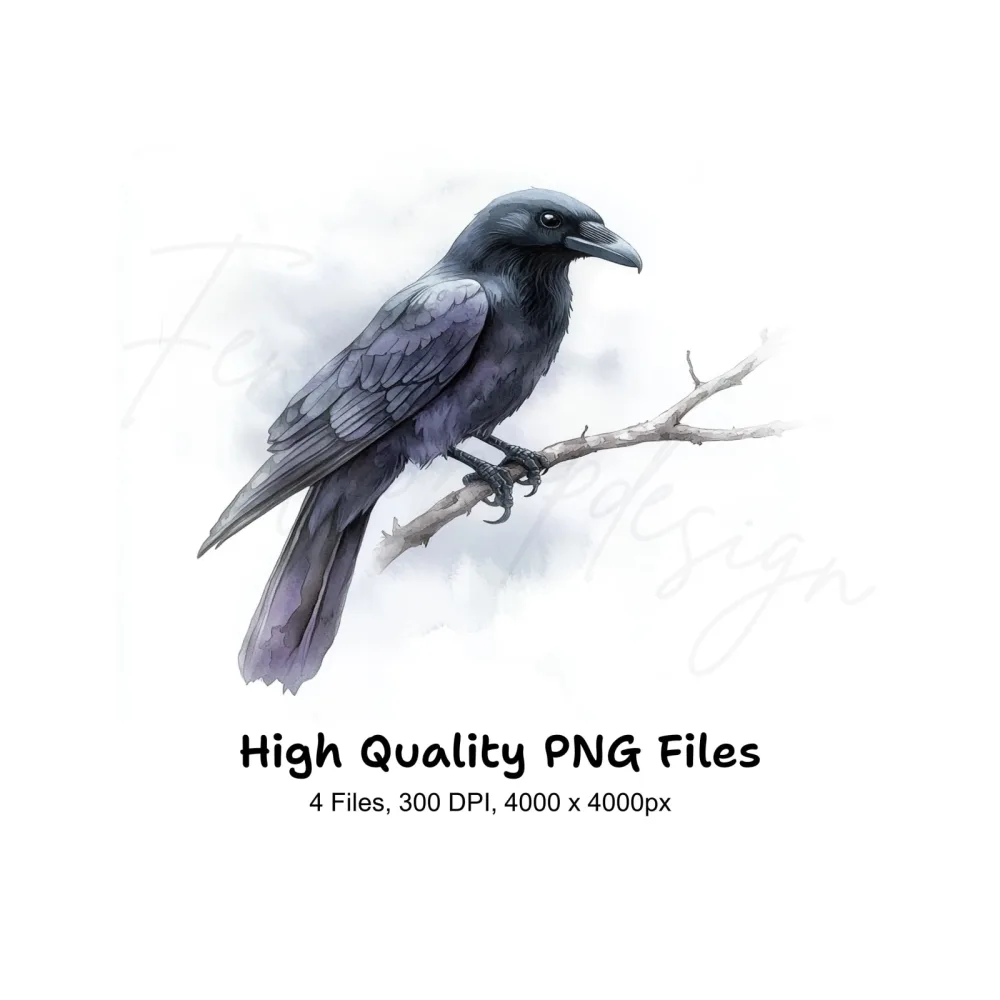Black Crow Bird Clipart Bundle